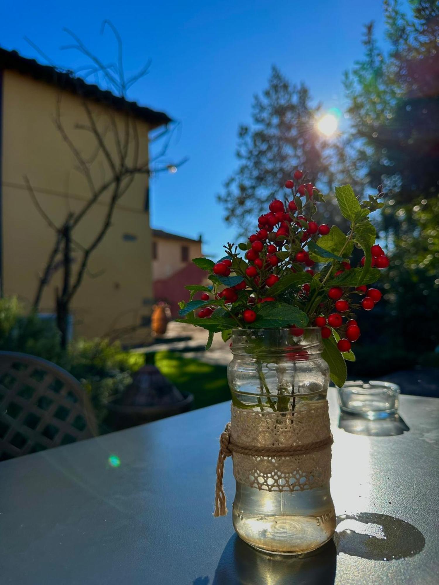 Agriturismo Casa Alle Vacche San Gimignano Esterno foto