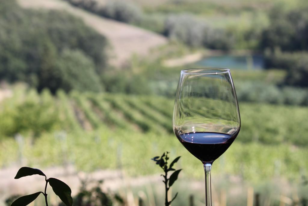 Agriturismo Casa Alle Vacche San Gimignano Esterno foto