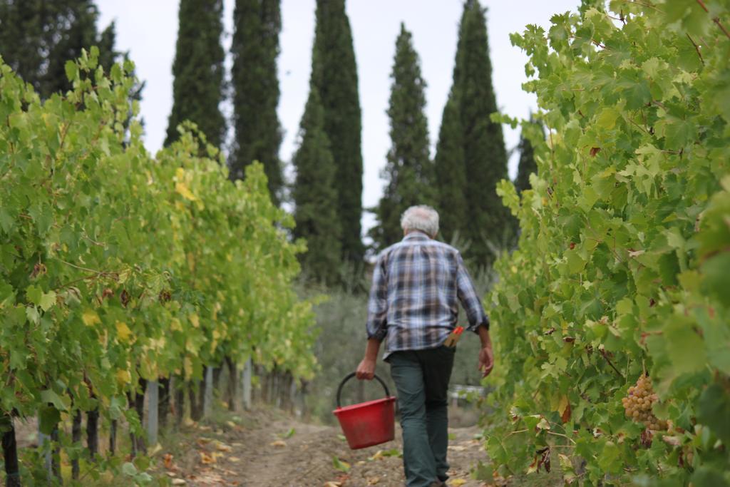 Agriturismo Casa Alle Vacche San Gimignano Esterno foto