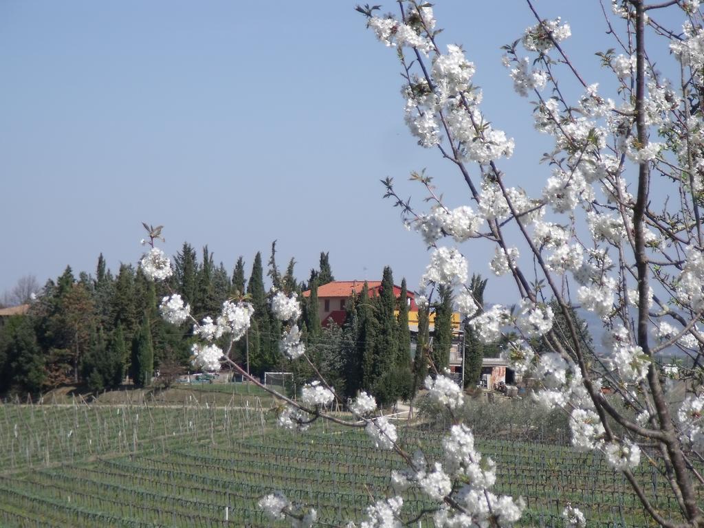 Agriturismo Casa Alle Vacche San Gimignano Esterno foto